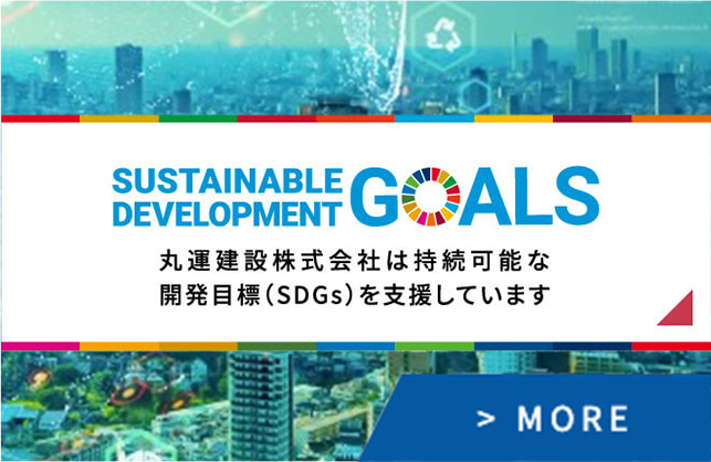 sdg